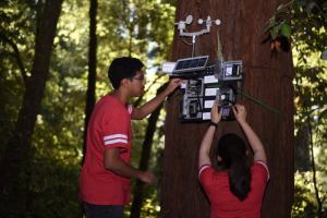 Thiết bị phòng cháy chữa cháy rừng bao gồm những gì?