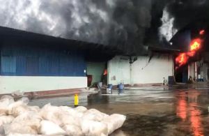 Bình Phước: Cháy lớn ở xưởng điều, thiệt hại khoảng 3 tỷ đồng