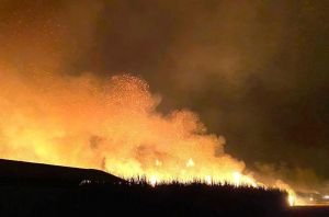 Cháy lớn tại vườn mía rộng hơn 10.000 m2 ở Bình Dương