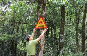 Thiết bị cảnh báo cháy rừng - Bảo vệ rừng, bảo vệ trái đất